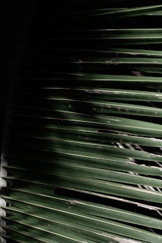  年报数据逐步揭晓；QFII持仓布局显现明显特征。 股票财经