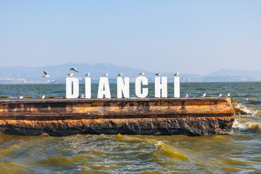 网络工程师的进化指南:Agentic AI重构IP运维底层逻辑 IT技术