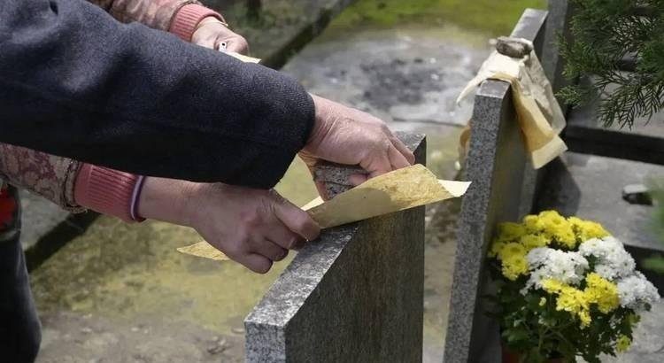  宗族社会结构嬗变：城乡祭祖人情消长的深层逻辑 新闻 宗族社会结构嬗变：城乡祭祖人情消长的深层逻辑 新闻