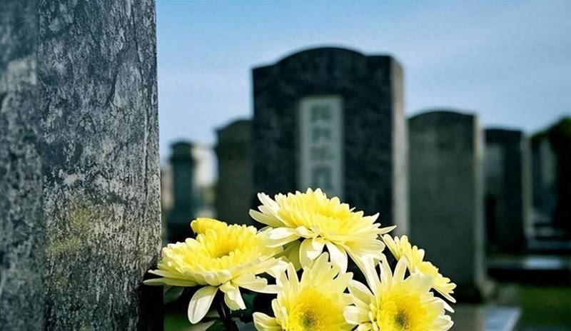  宗族社会结构嬗变：城乡祭祖人情消长的深层逻辑 新闻 宗族社会结构嬗变：城乡祭祖人情消长的深层逻辑 新闻