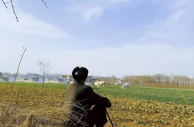  宗族社会结构嬗变：城乡祭祖人情消长的深层逻辑 新闻 宗族社会结构嬗变：城乡祭祖人情消长的深层逻辑 新闻