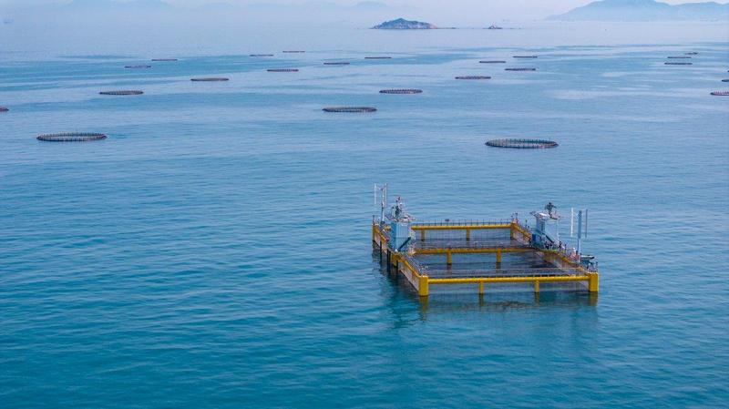  《技术破局与战略重构：深度拆解海洋经济高质量发展的五大实施路径》 新闻