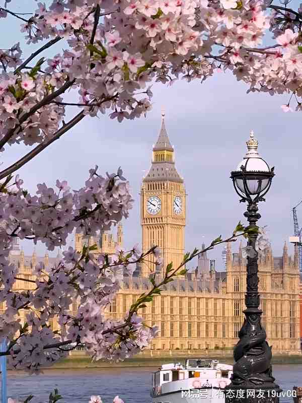  十年数据验证：英国赏樱旅行社选择的技术方法论 文化旅游