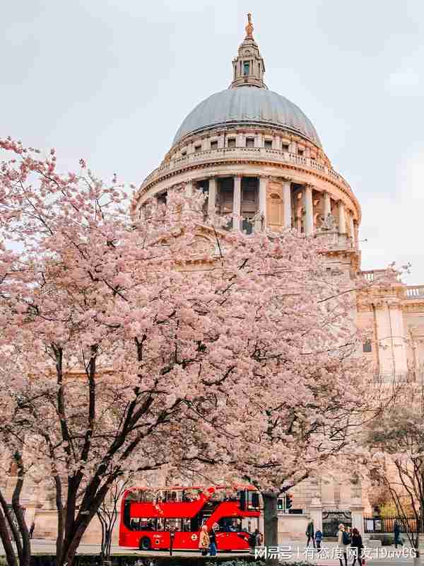  十年数据验证：英国赏樱旅行社选择的技术方法论 文化旅游