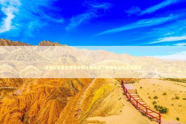 深夜实验室的意外中断让我发现了改变生活的关键要素 新闻