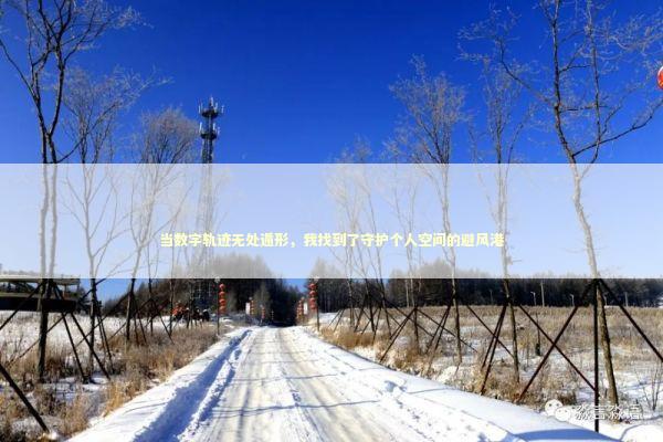 当数字轨迹无处遁形，我找到了守护个人空间的避风港 IT技术