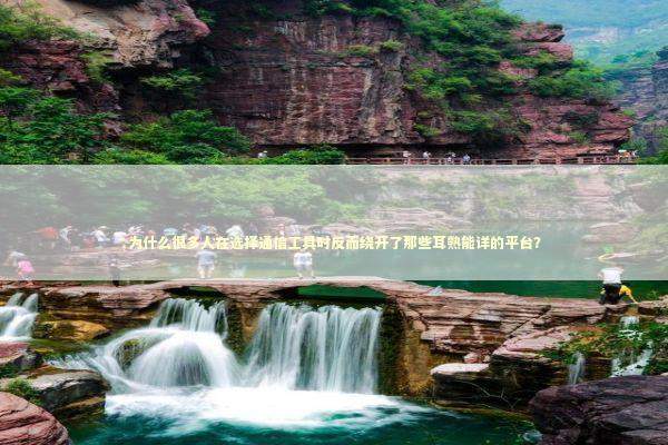 为什么很多人在选择通信工具时反而绕开了那些耳熟能详的平台？ IT技术