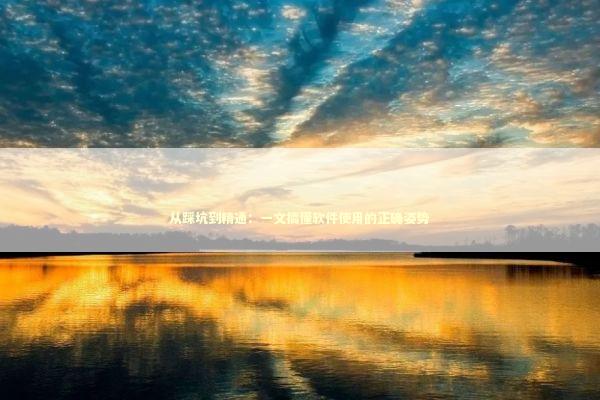 从踩坑到精通：一文搞懂软件使用的正确姿势 IT技术