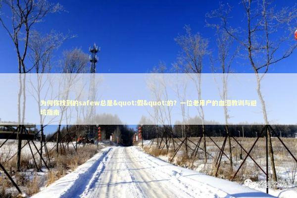 为何你找到的safew总是"假"的？一位老用户的血泪教训与避坑指南 IT技术