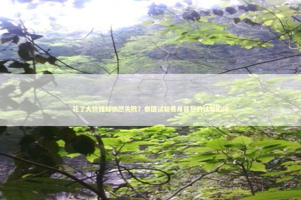 花了大价钱却依然失败？泰国试管费用背后的认知陷阱 新闻