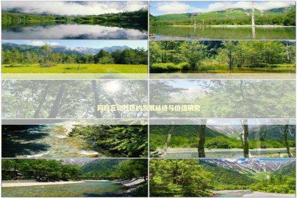 网购互动社区的发展脉络与价值研究