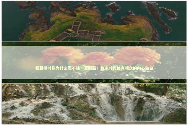 看直播时你为什么忍不住一直刷新？数字时代体育观众的内心独白 体育新闻