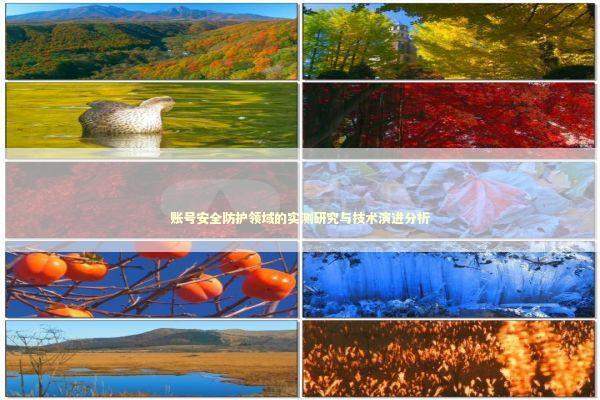 账号安全防护领域的实测研究与技术演进分析 IT技术