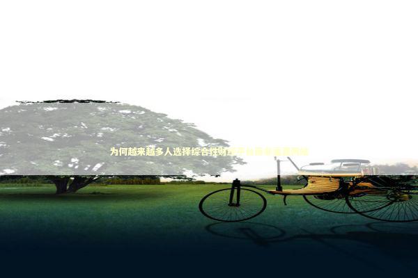 为何越来越多人选择综合性财经平台而非垂直网站 股票财经